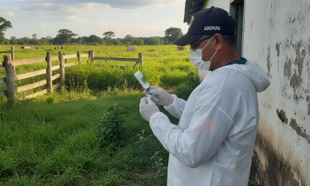 Imagem gerada com IA