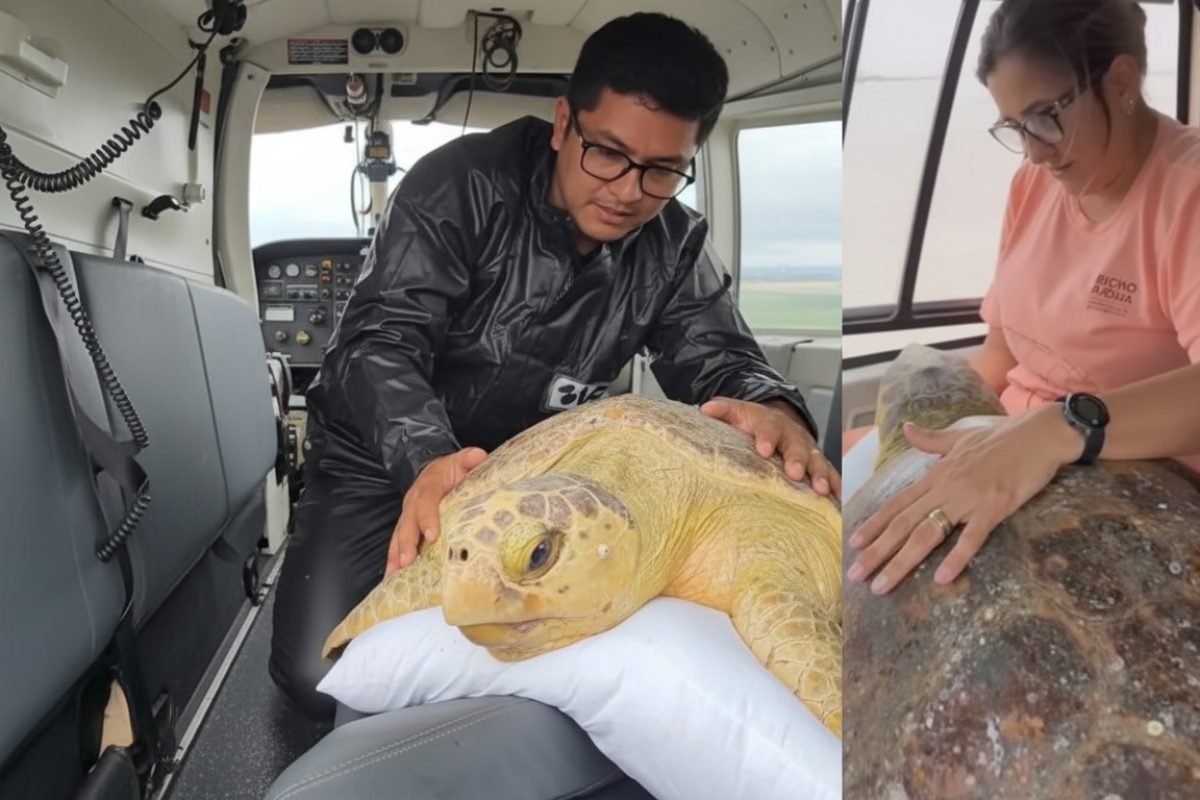 Imagem gerada com IA