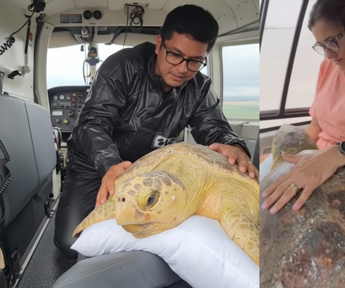 Imagem gerada com IA