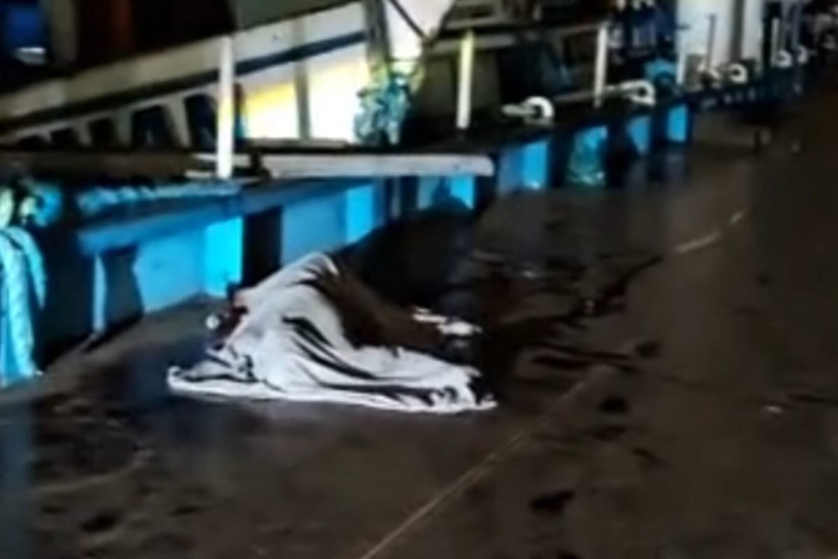 al. Durante o confronto, Herisson foi atingido com um golpe de arma branca no tó