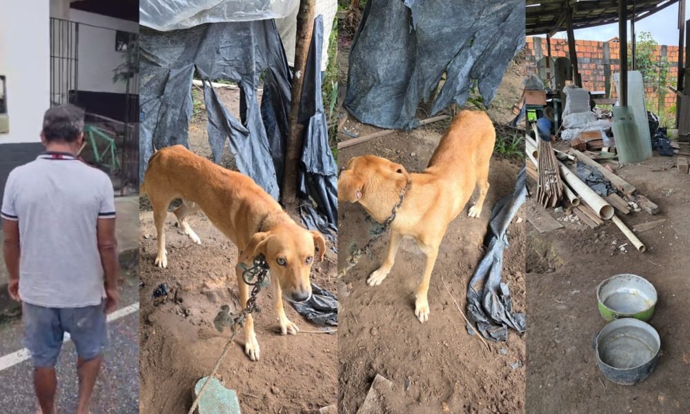 maus-tratos contra um cachorro em Bragança, no nordeste do Pará. De acordo com a