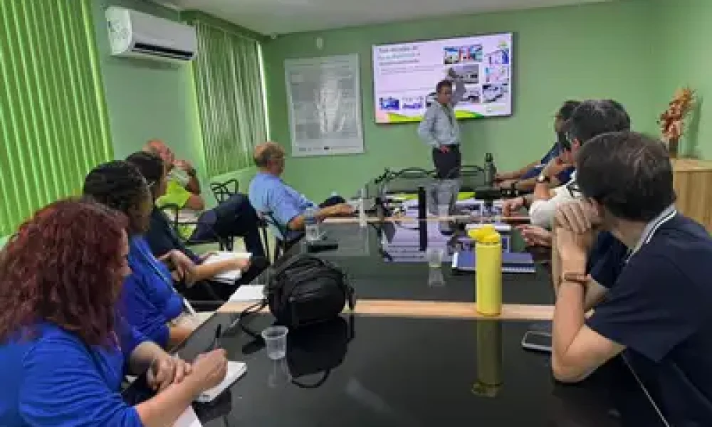 Divulgação
