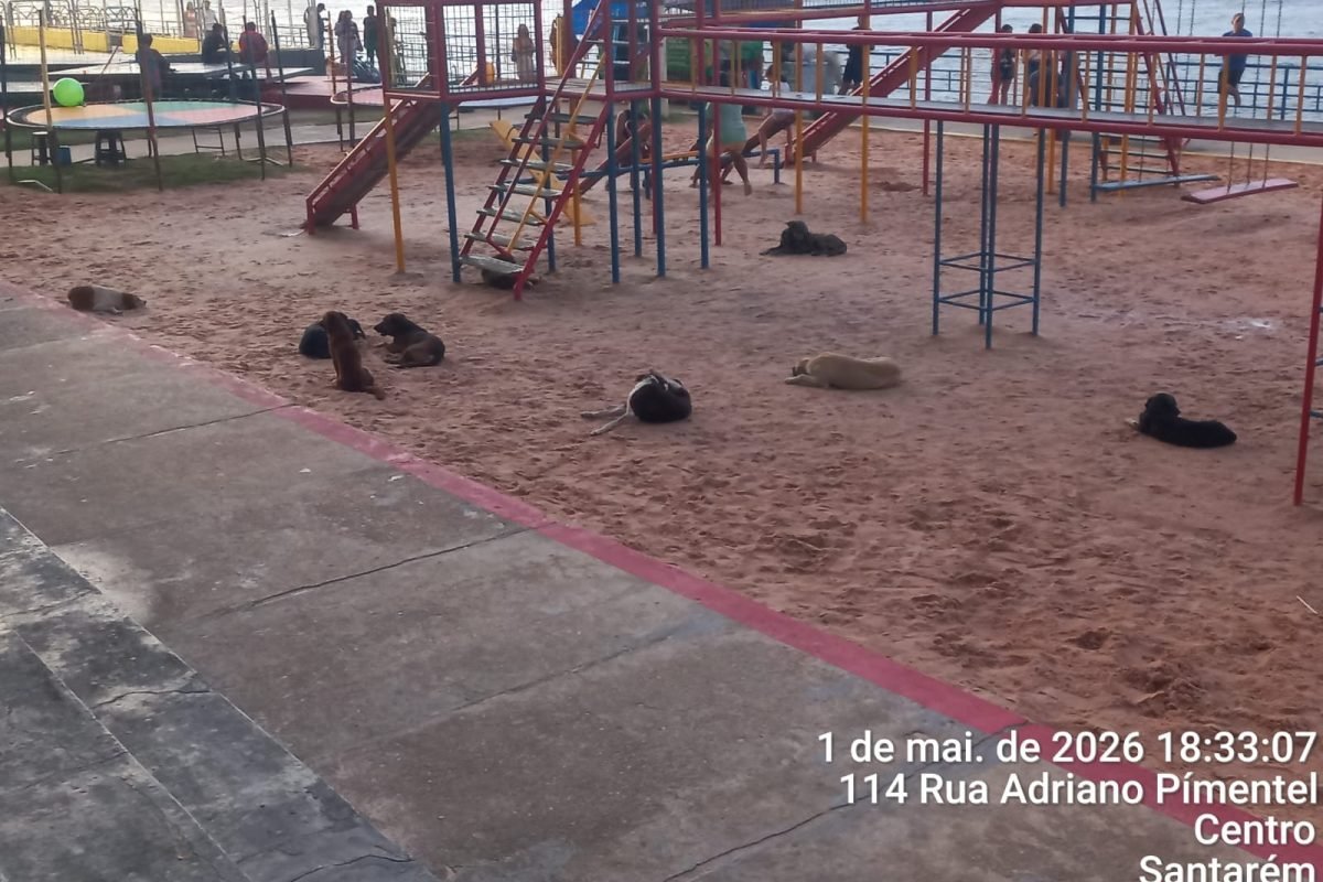 que é muito”, completou. Situação preocupante Além do impacto visual, a presença