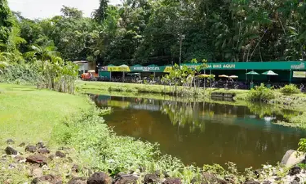 Vinicius Pinto / Ag. Pará