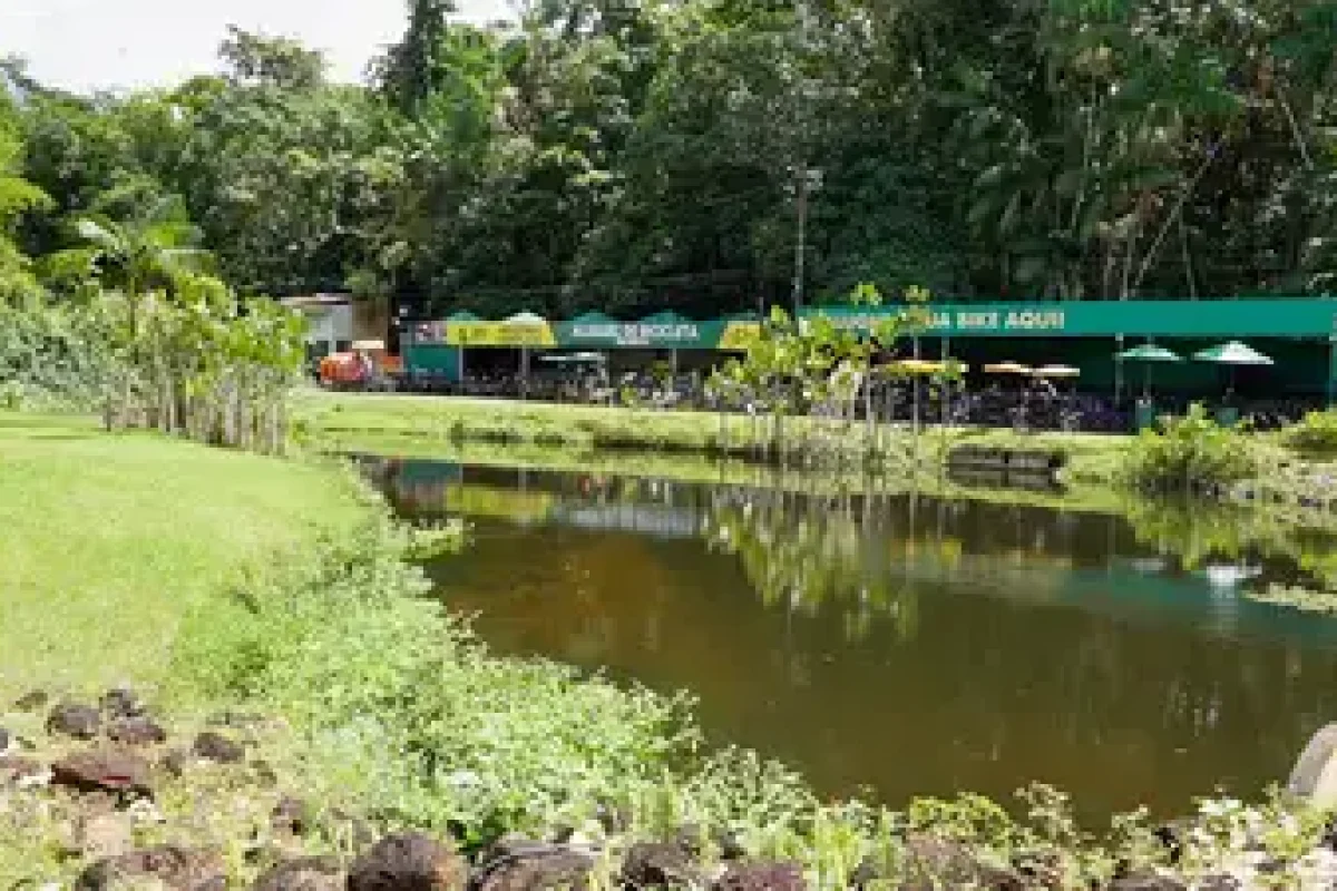 Vinicius Pinto / Ag. Pará