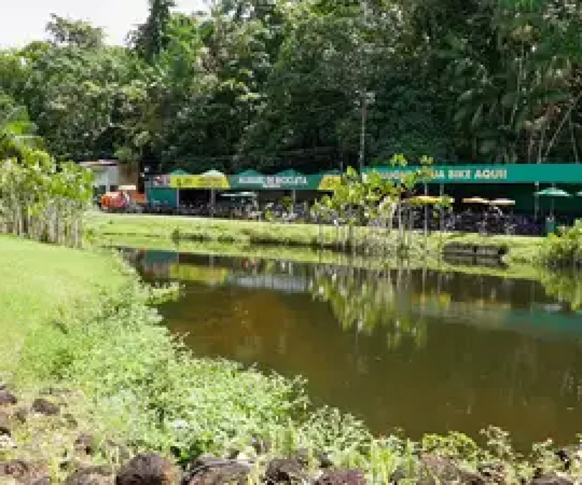 Vinicius Pinto / Ag. Pará