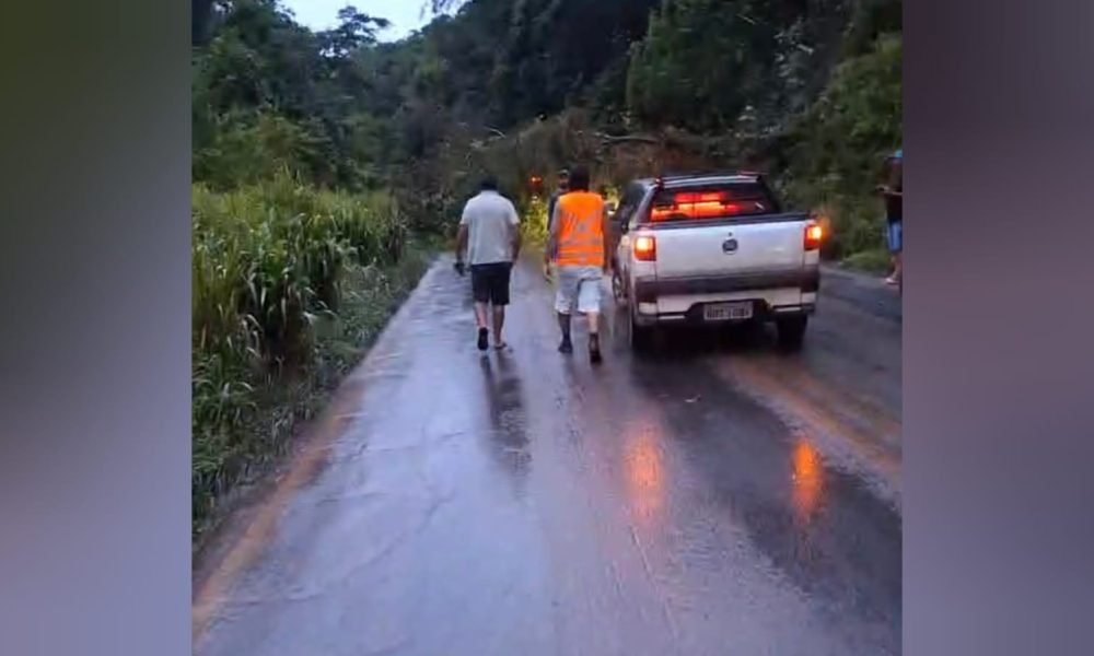 te caiu na BR-163 em Santarém, no oeste do Pará, e provocou diversos transtornos