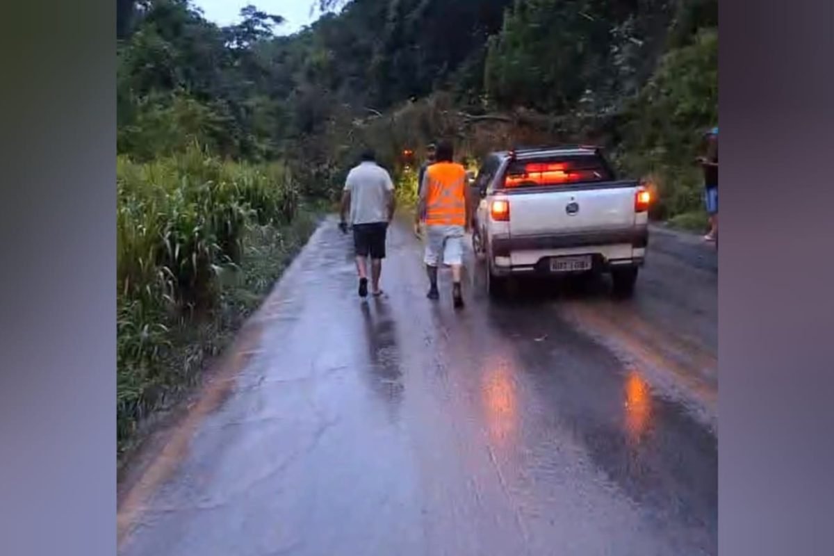 te caiu na BR-163 em Santarém, no oeste do Pará, e provocou diversos transtornos