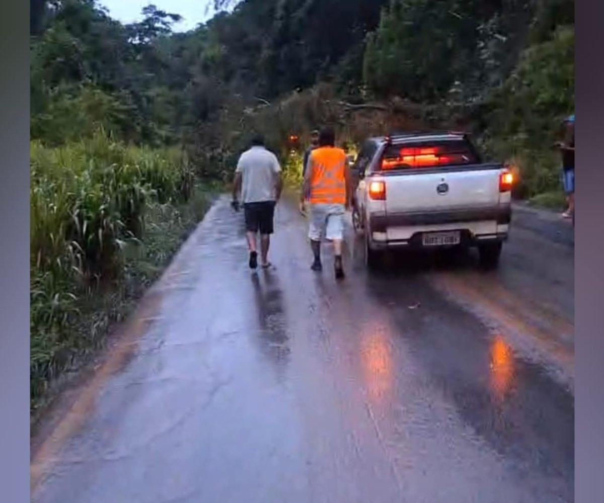 te caiu na BR-163 em Santarém, no oeste do Pará, e provocou diversos transtornos