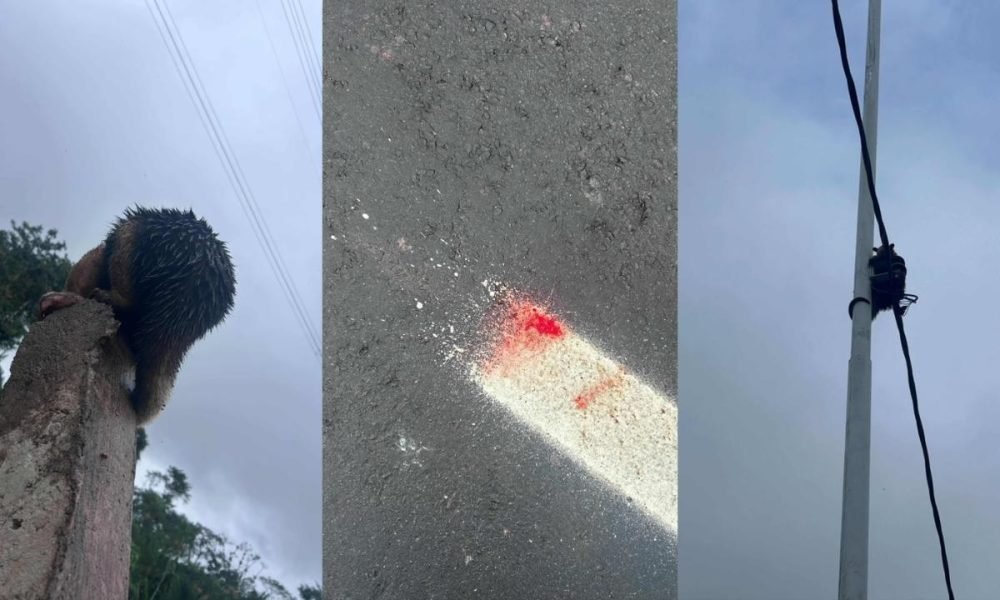 exemplo, entrou com duas ações na Justiça para tentar barrar impactos da Rodovia