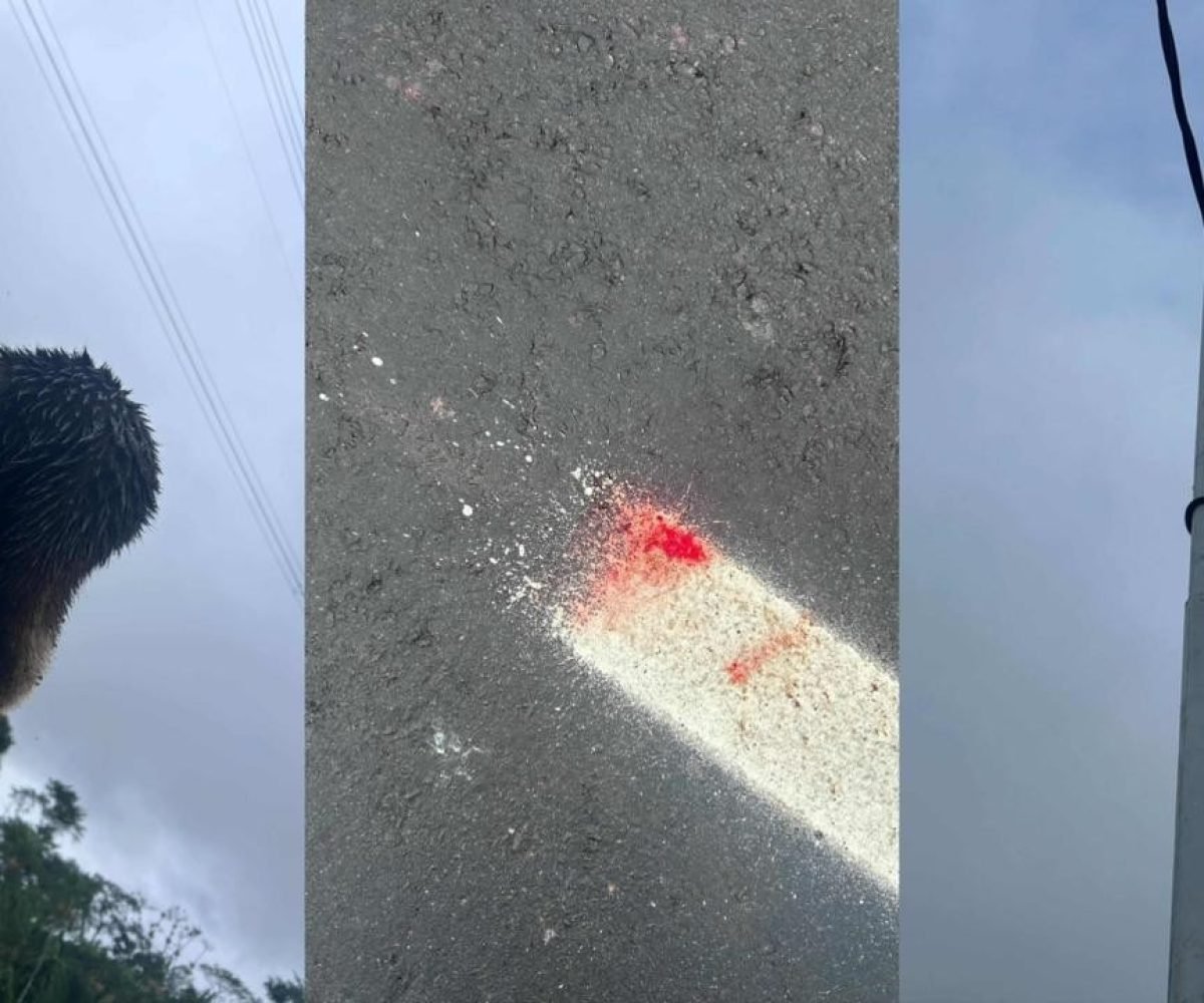 exemplo, entrou com duas ações na Justiça para tentar barrar impactos da Rodovia