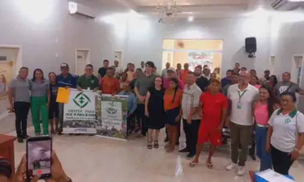 Divulgação