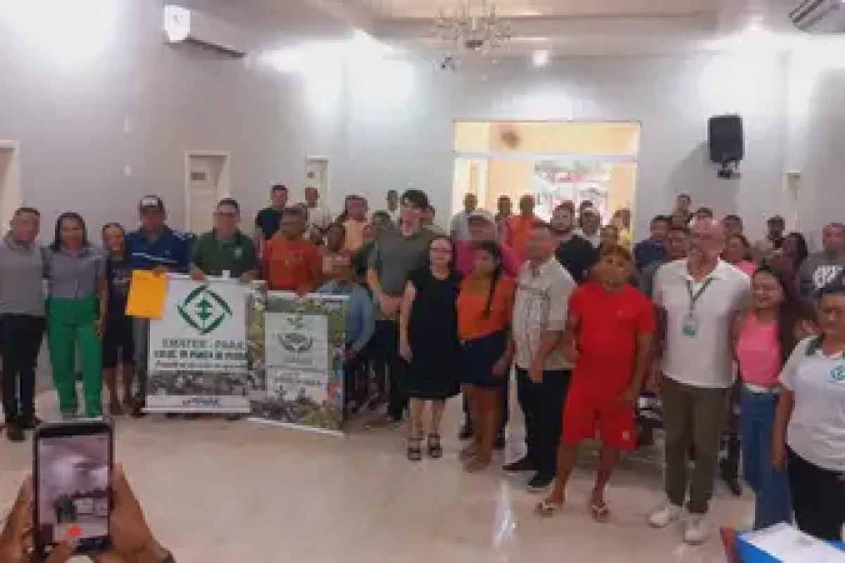 Divulgação