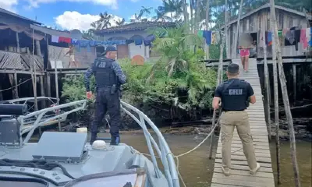 Divulgação