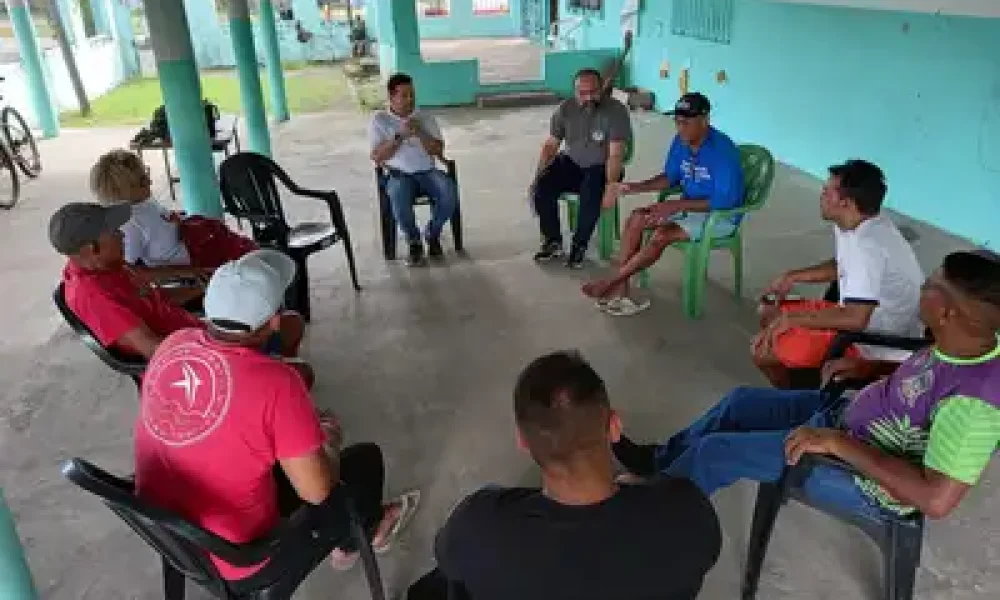 Divulgação