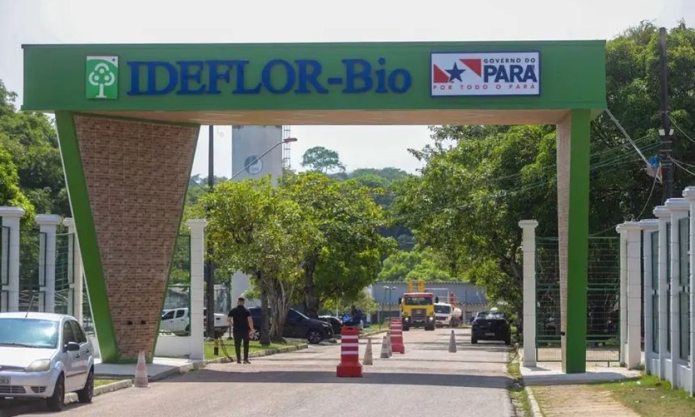 Prazo final: Ideflor-bio encerra inscrições para vagas ambientais no Pará nesta sexta-feira