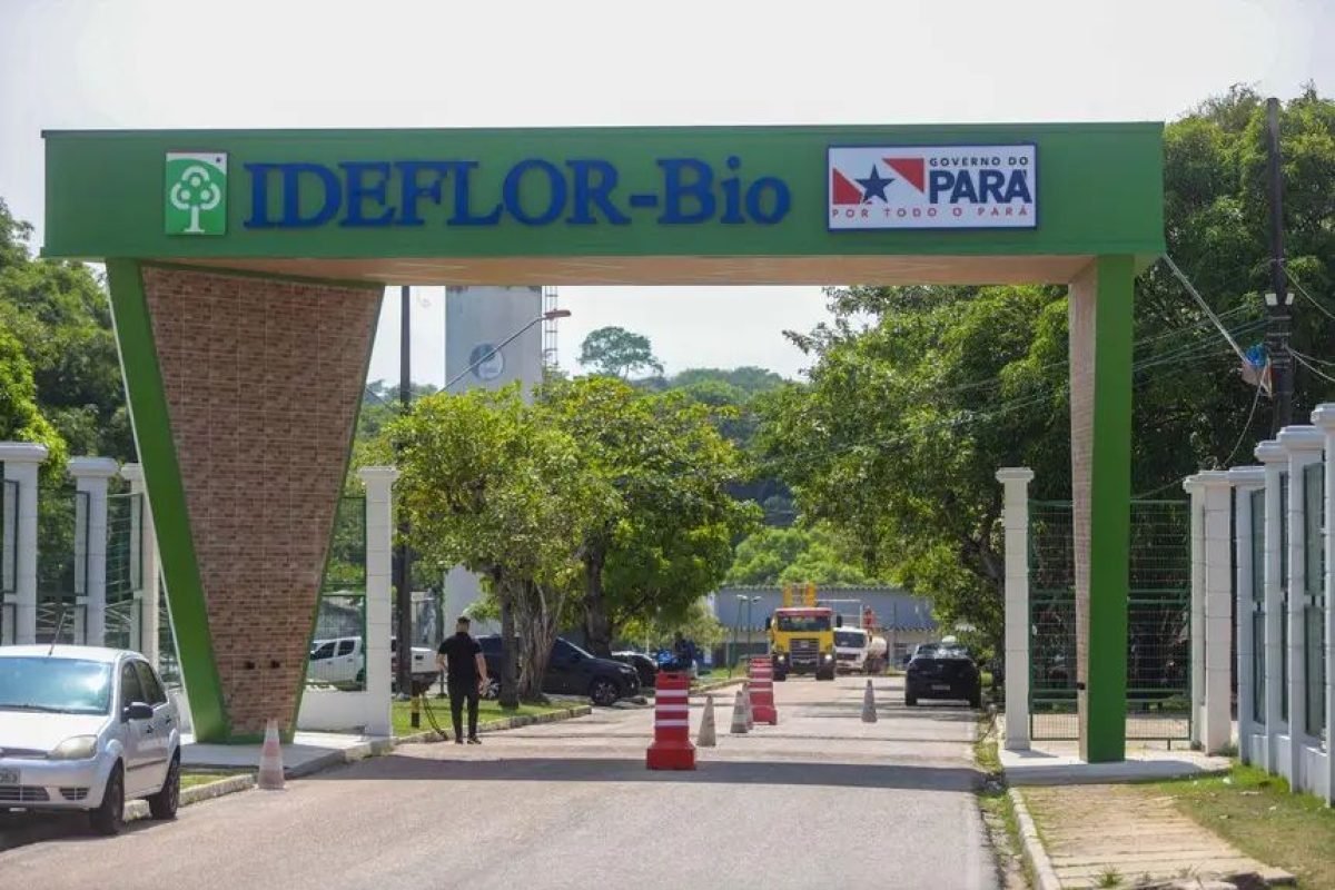 Prazo final: Ideflor-bio encerra inscrições para vagas ambientais no Pará nesta sexta-feira