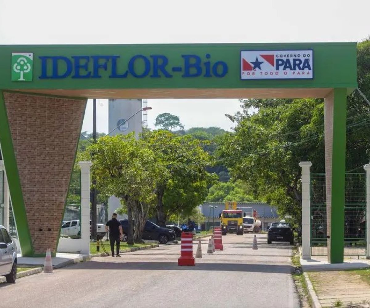 Prazo final: Ideflor-bio encerra inscrições para vagas ambientais no Pará nesta sexta-feira