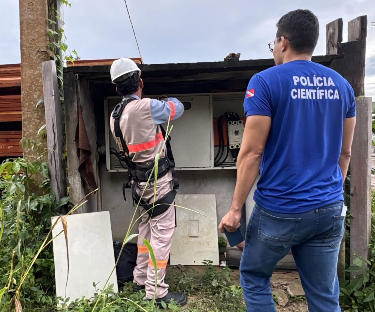 tação de madeira em Mojuí dos Campos Divulgação Uma operação conjunta entre as f