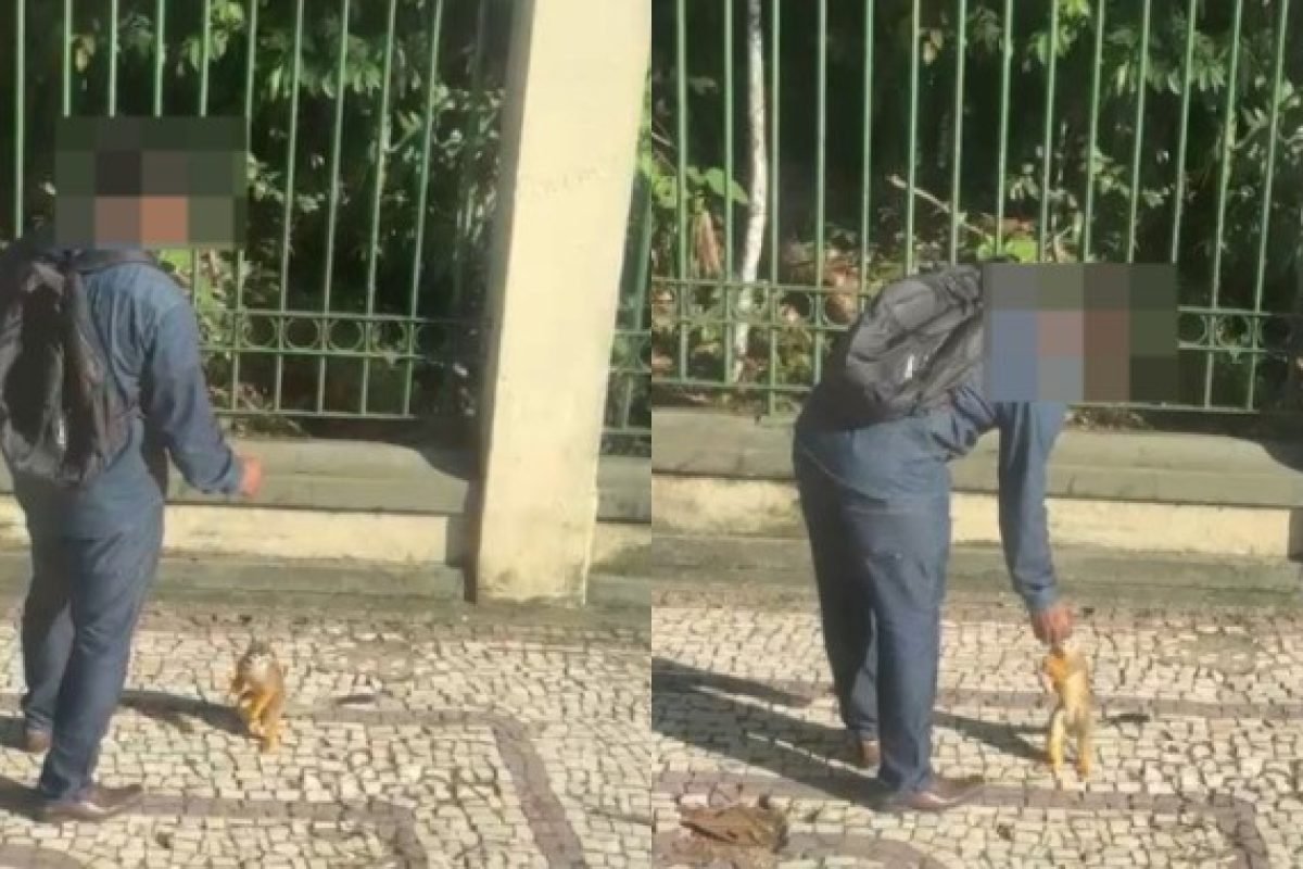 Foto: Reprodução/Redes sociais