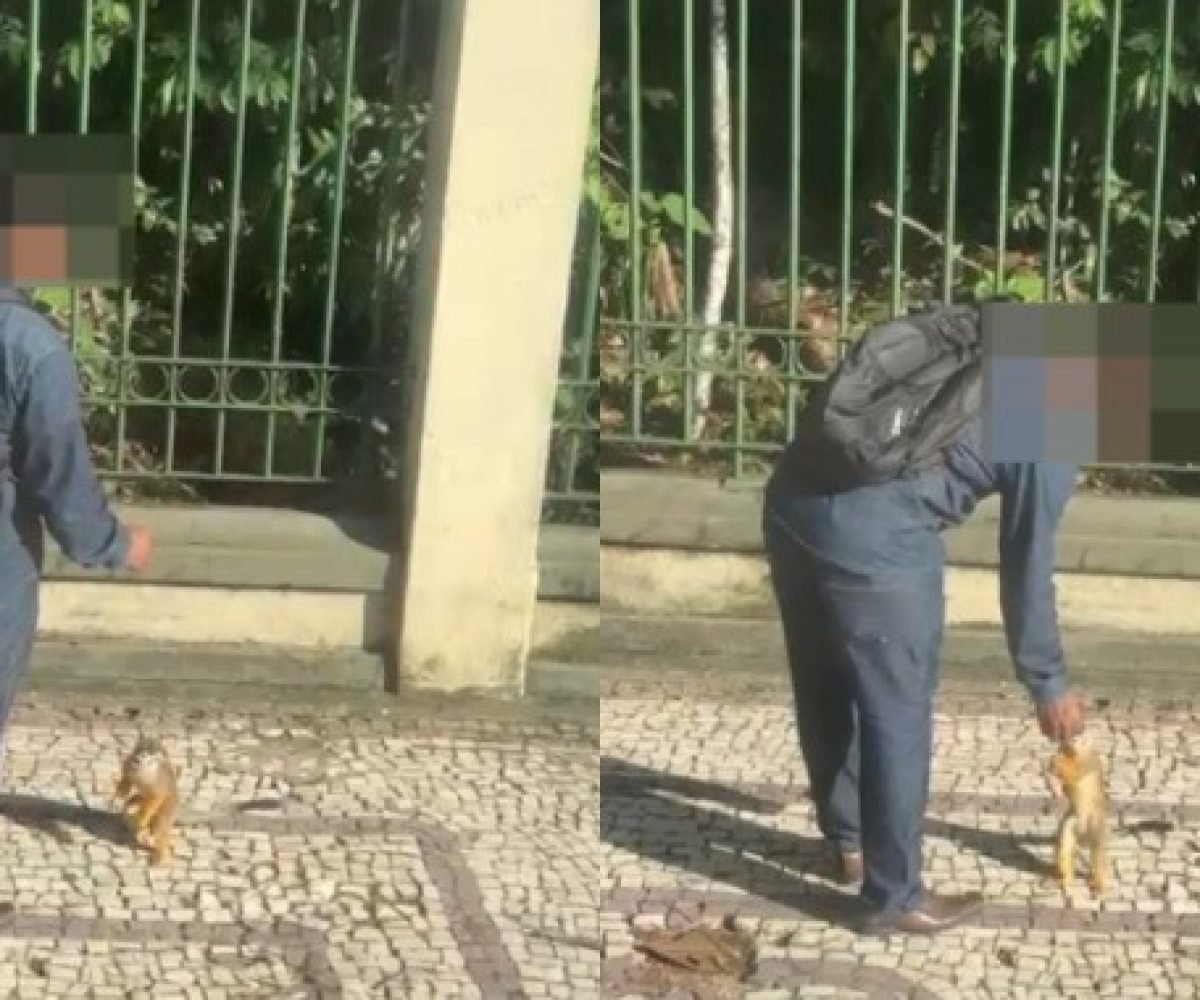 Foto: Reprodução/Redes sociais
