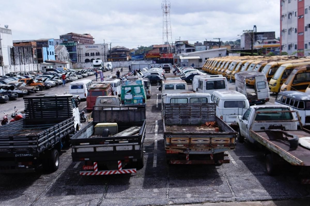 falta de regularização dos proprietários após 60 dias sob custódia municipal. Co