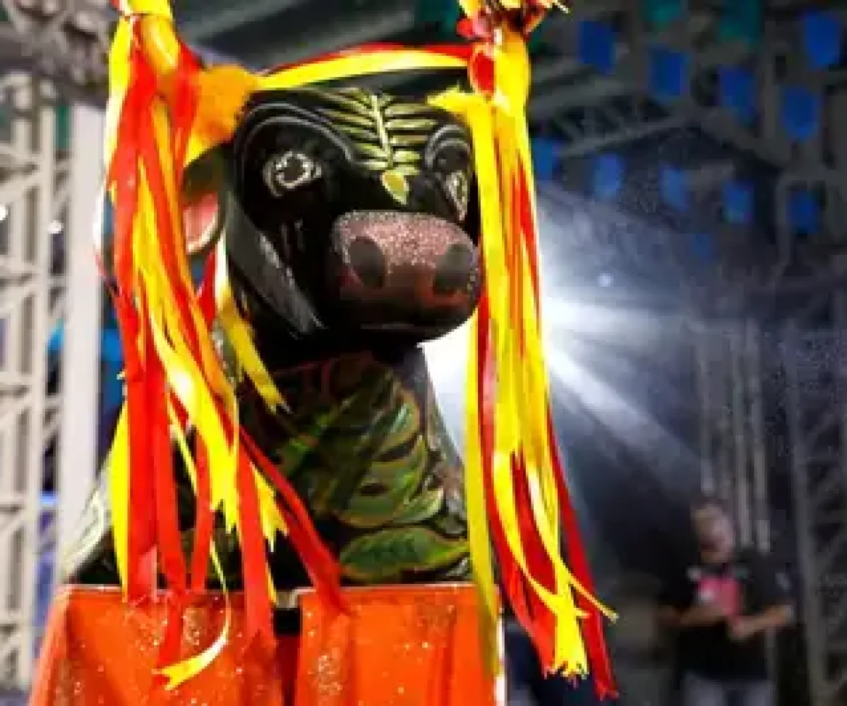 Programação valoriza a arte dos coletivos populares