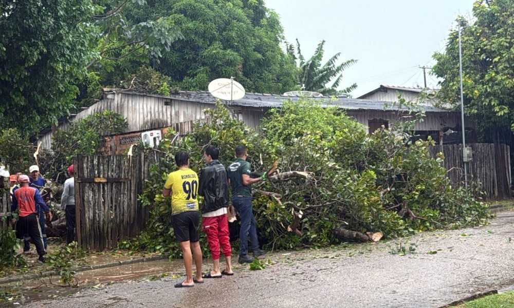 al deixou um rastro de destruição e provocou diversos transtornos nesta terça-fe