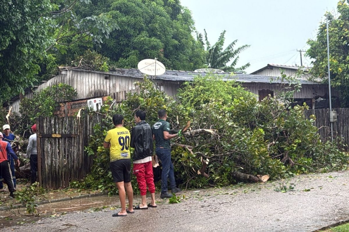 al deixou um rastro de destruição e provocou diversos transtornos nesta terça-fe