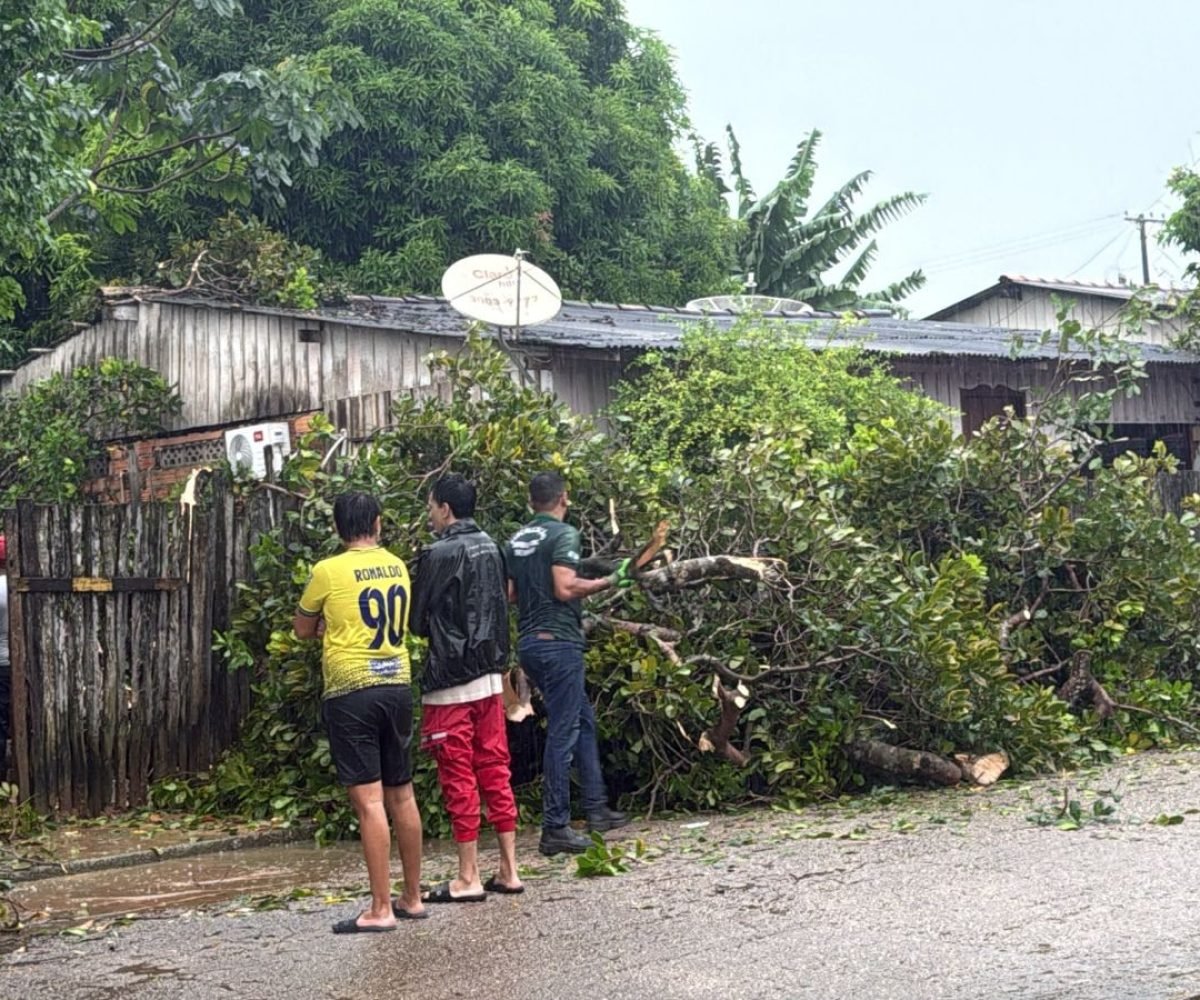 al deixou um rastro de destruição e provocou diversos transtornos nesta terça-fe