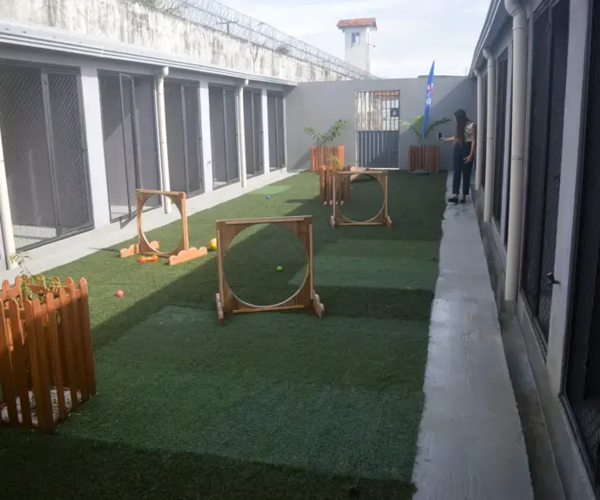 Projeto Reinsercão da Seap: custodiados e cães resgatados encontram nova chance no Pará