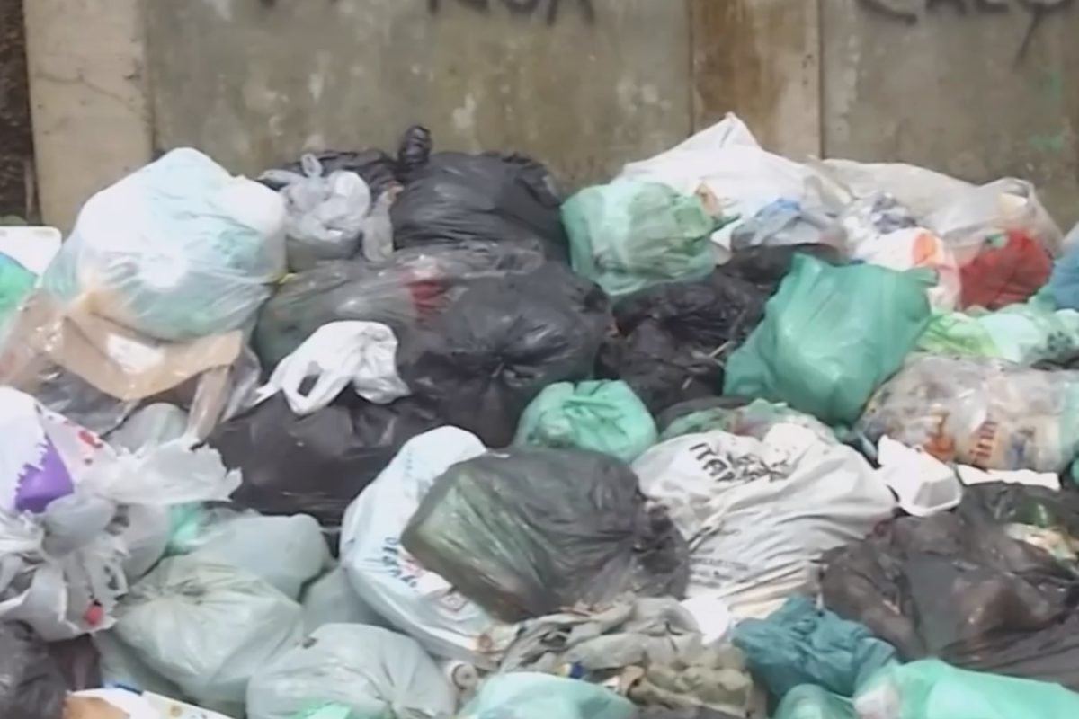 tagem. VÍDEOS com as principais notícias do Pará Acesse outras notícias do estad