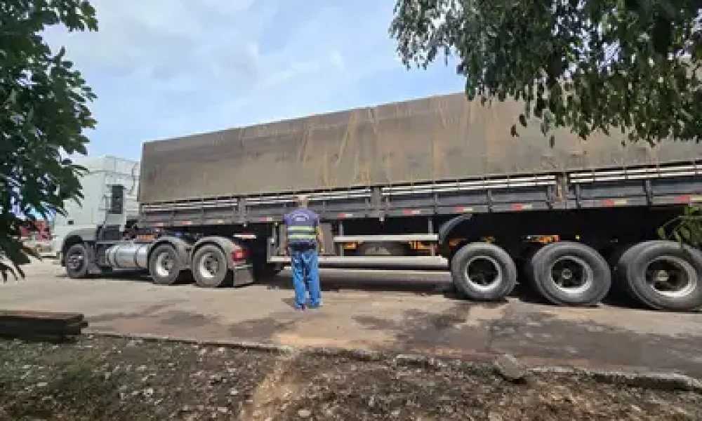 Divulgação