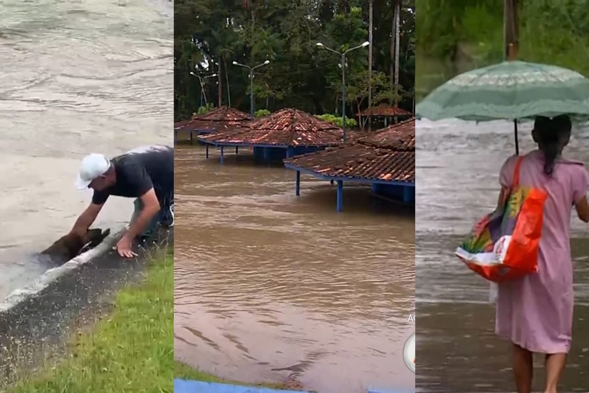 Foto: Reprodução / Tv Liberal