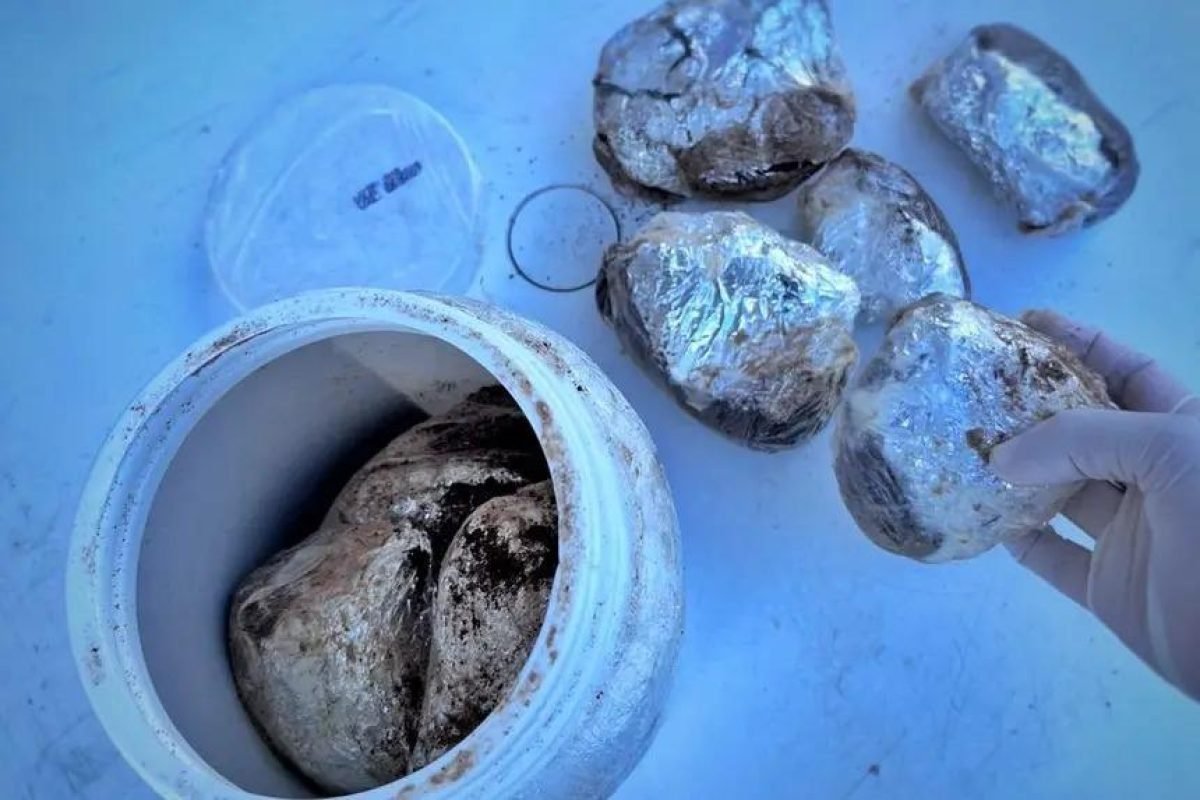 tância das Bases Integradas Fluviais no combate ao tráfico de drogas nos rios am