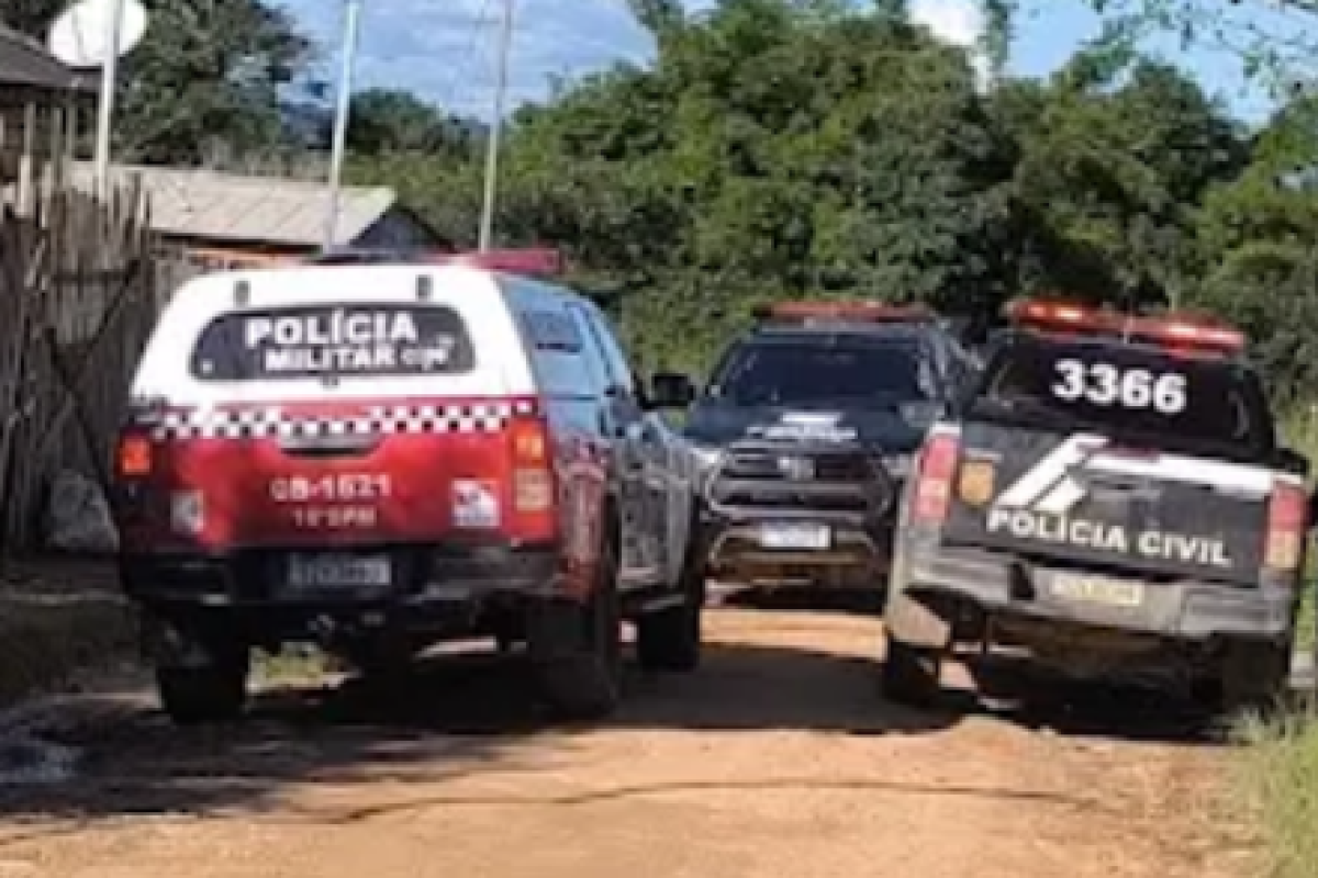 equipes da Polícia Civil de Brasil Novo, Divisão de Homicídios de Altamira, Polí