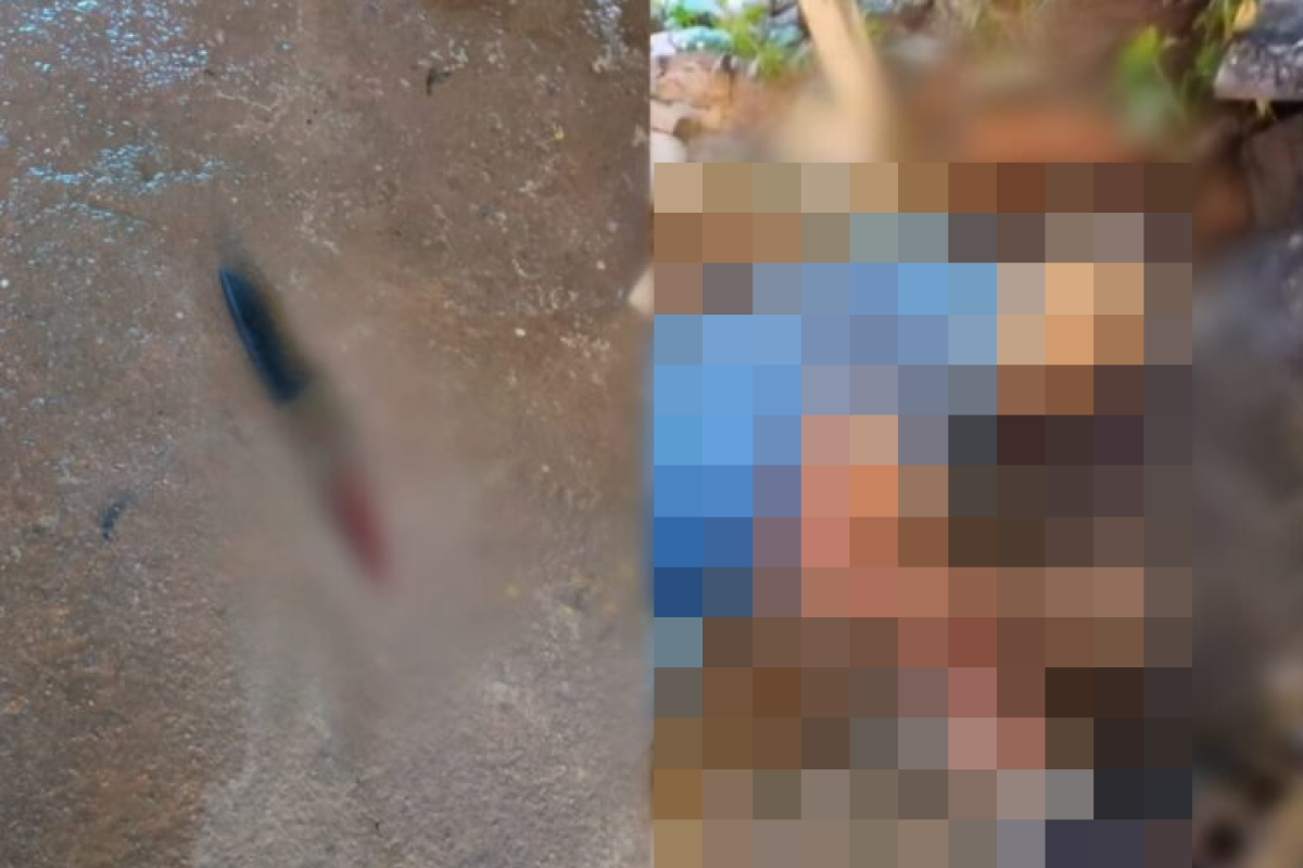 co”, foi encontrado morto na manhã de domingo (17) em Marabá, no sudeste do Pará