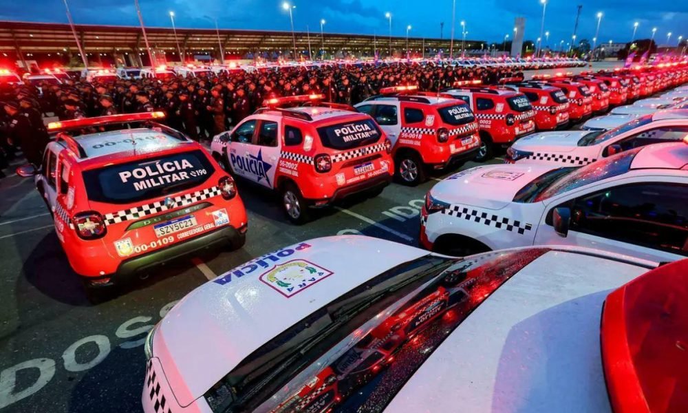 tância da atuação integrada no acompanhamento dos casos e na proteção das vítima