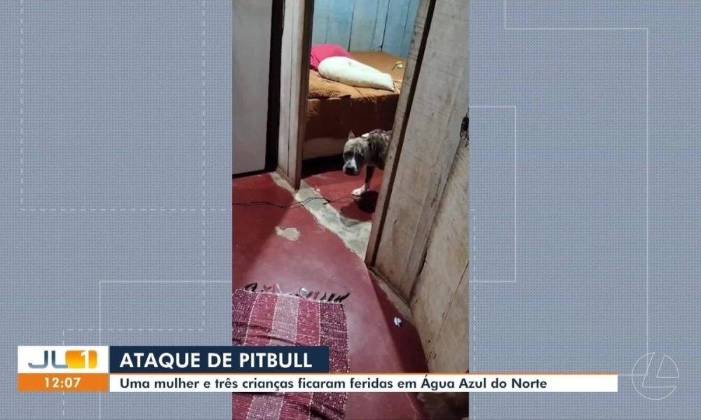 Mulher e crianças são atacados por pitbull