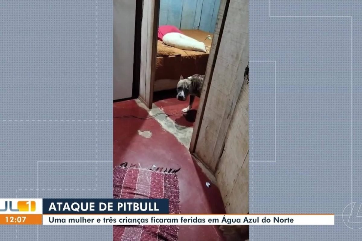 Mulher e crianças são atacados por pitbull