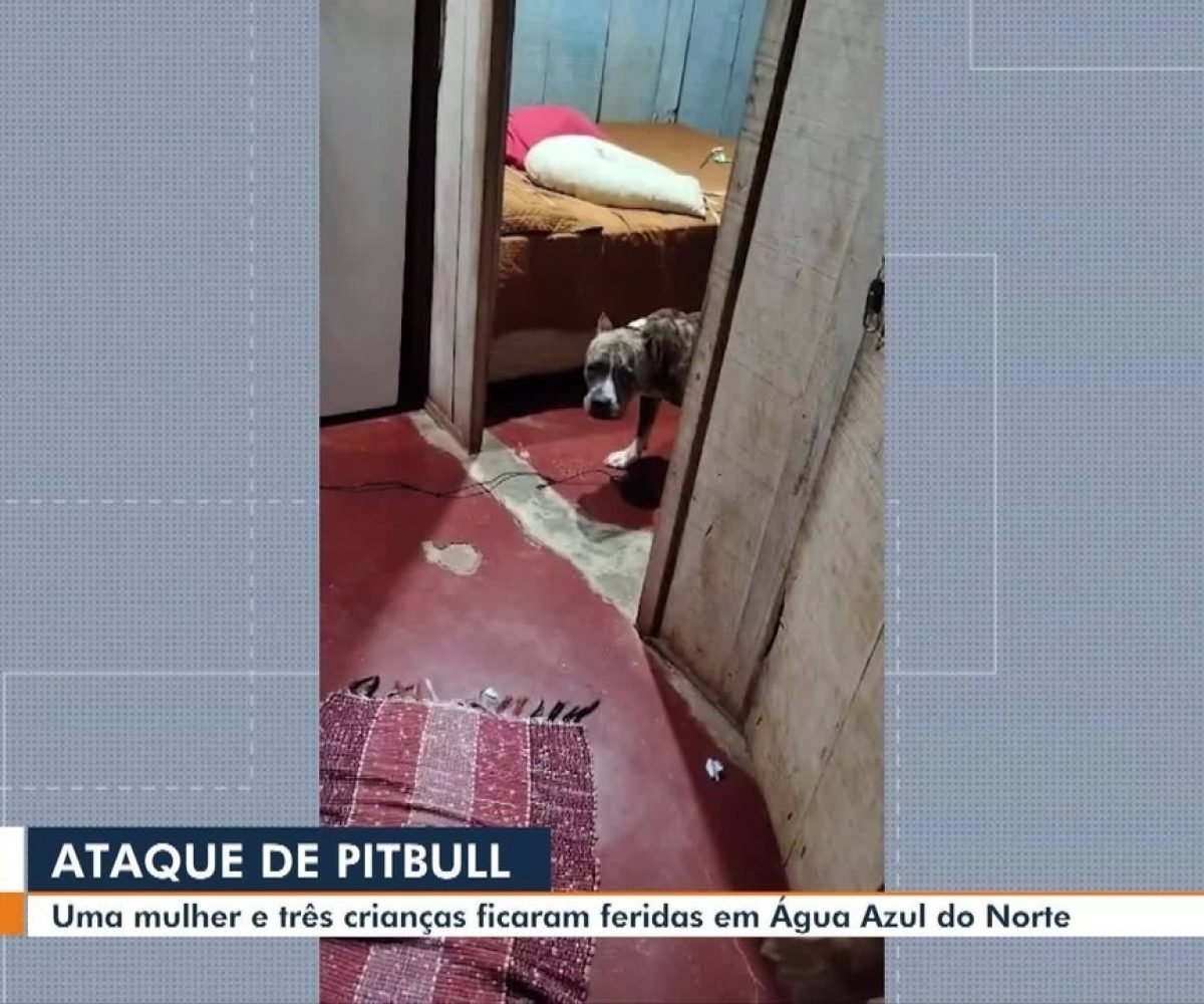 Mulher e crianças são atacados por pitbull