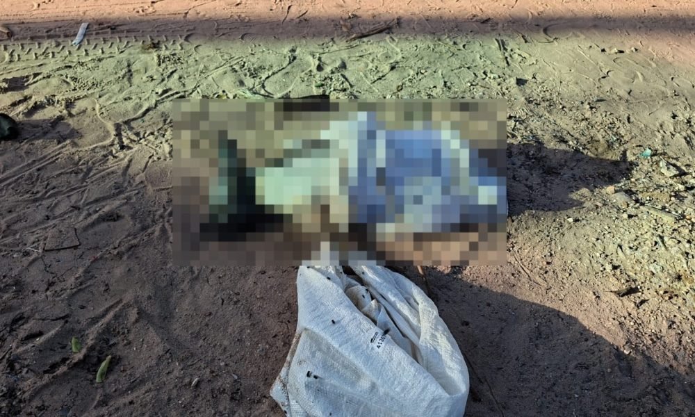 OAB Santarém repudia caso de cachorro encontrado morto em lixeira no bairro Jardim Santarém Redes Sociais/Divulgação