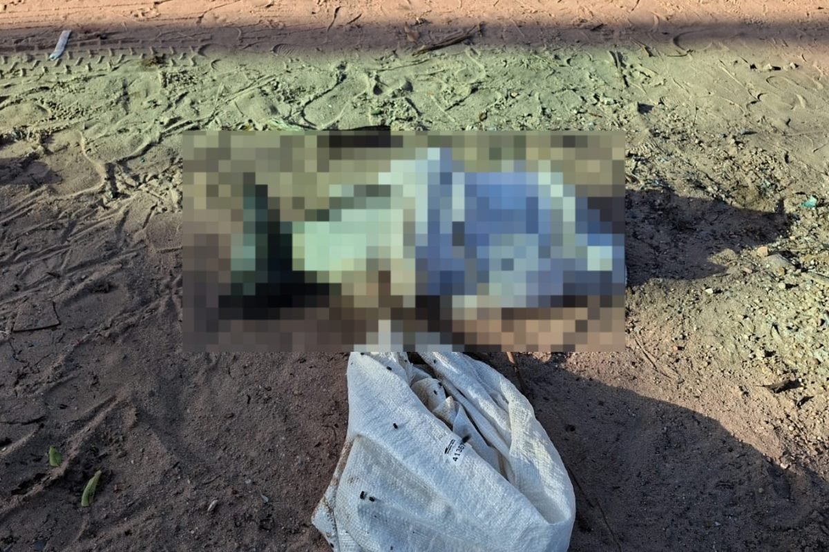 OAB Santarém repudia caso de cachorro encontrado morto em lixeira no bairro Jardim Santarém Redes Sociais/Divulgação