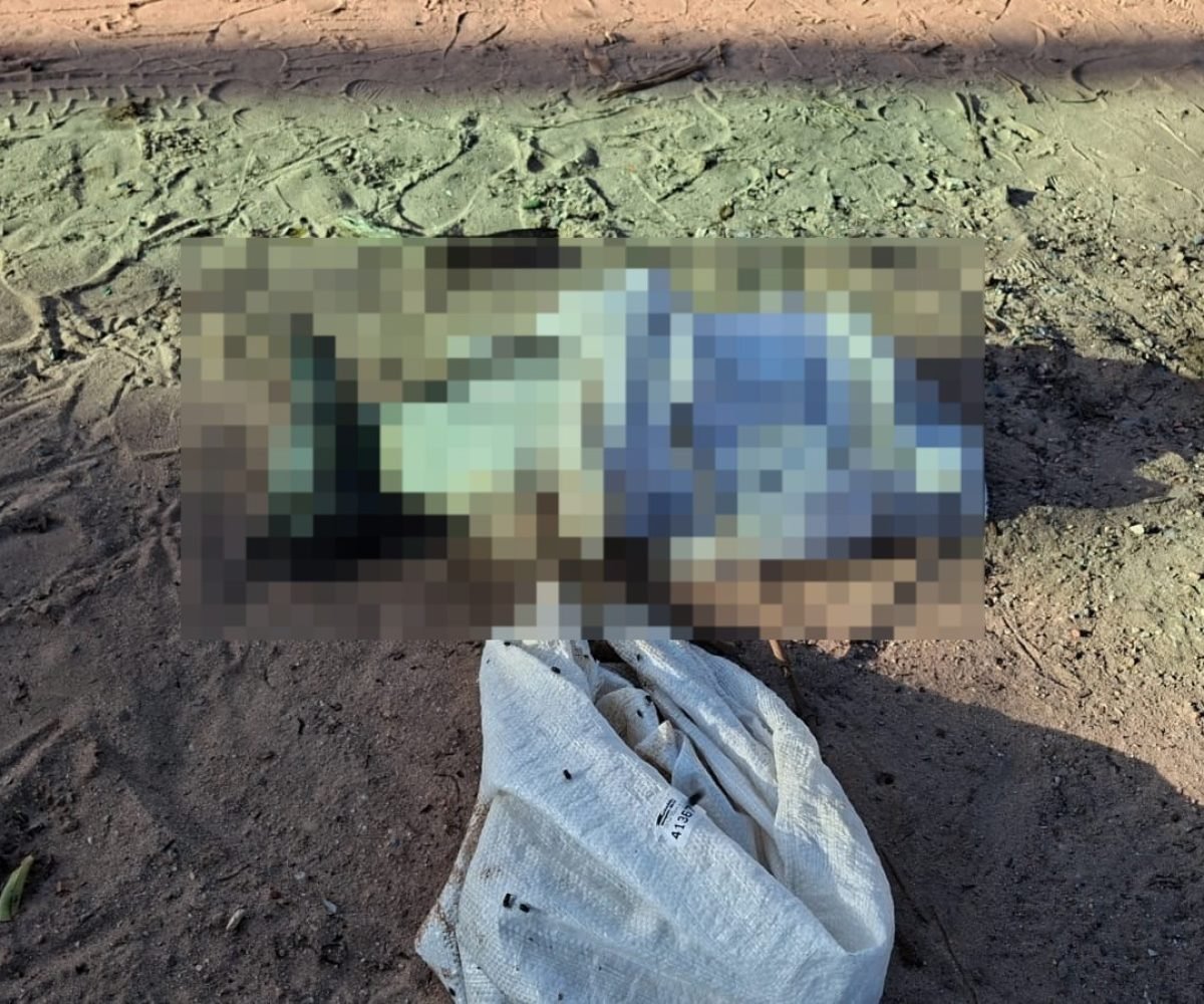 OAB Santarém repudia caso de cachorro encontrado morto em lixeira no bairro Jardim Santarém Redes Sociais/Divulgação