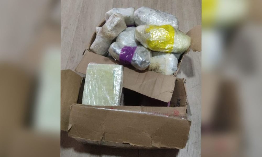 kg de drogas escondidas em freezer de bar de embarcação Polícia Militar/Divulgação