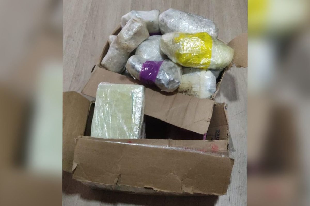 kg de drogas escondidas em freezer de bar de embarcação Polícia Militar/Divulgação