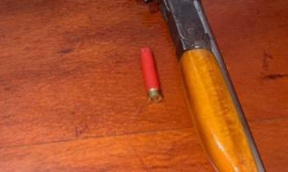 ação, ao chegarem ao endereço, os policiais tentaram abordar a suspeita, mas ela