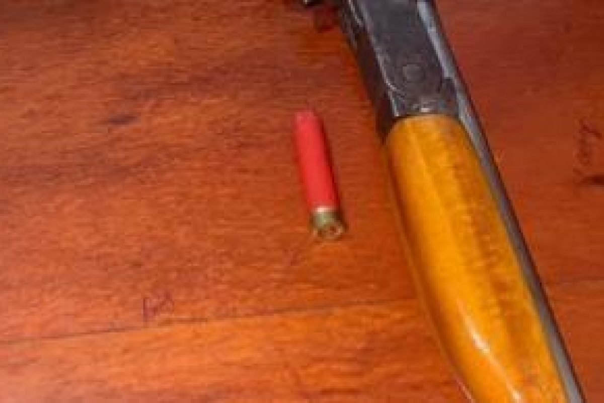 ação, ao chegarem ao endereço, os policiais tentaram abordar a suspeita, mas ela