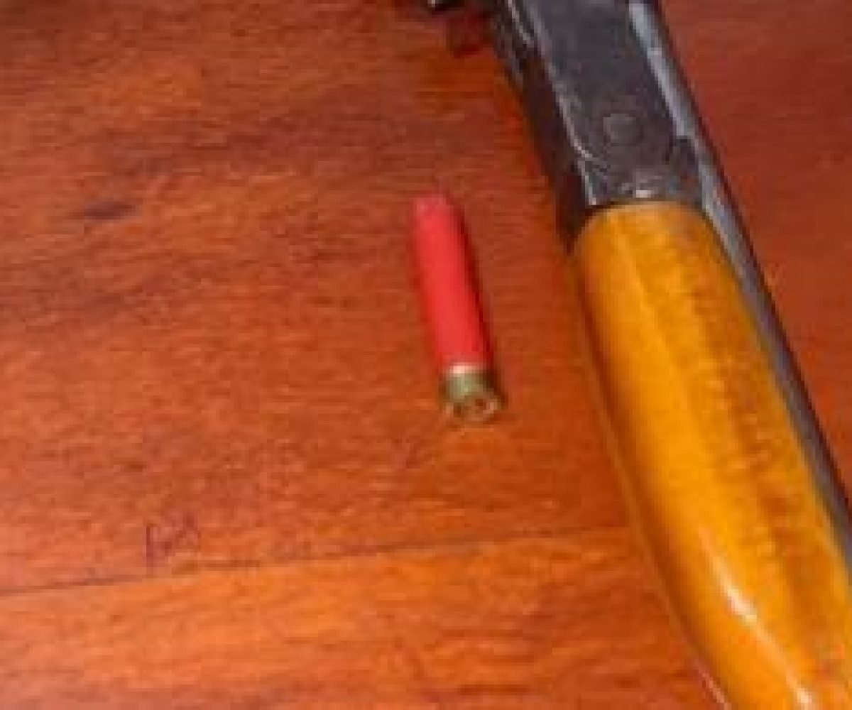 ação, ao chegarem ao endereço, os policiais tentaram abordar a suspeita, mas ela