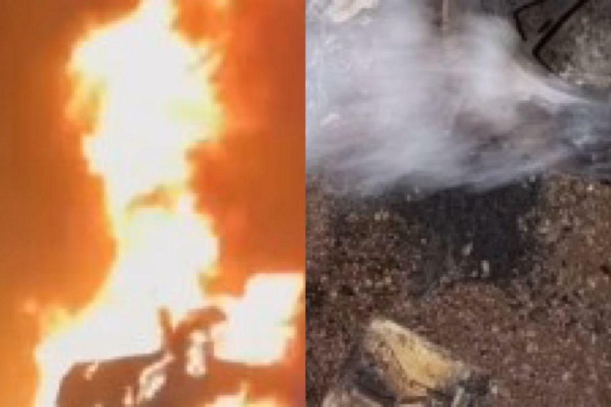 Acidente na Br-010 em Paragominas deixa vítima fatal e veículos carbonizados
